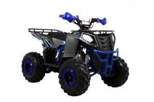 Квадроцикл Wels ATV THUNDER EVO 125 s-dostavka Серый - магазин СпортДоставка. Спортивные товары интернет магазин в Железногорске 